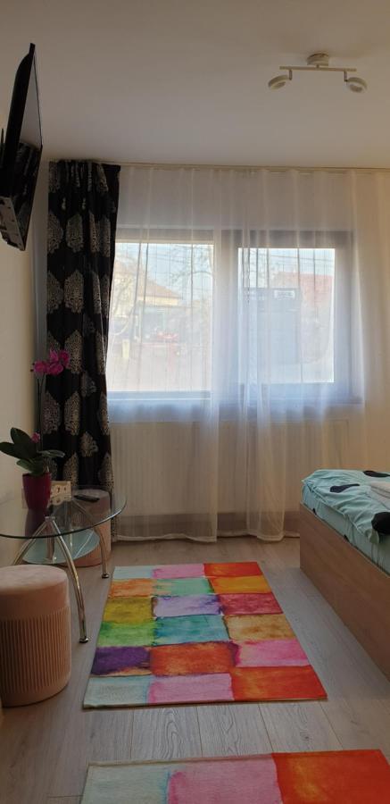 Appartamento Casa Ana Cluj Esterno foto