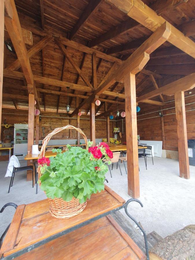 Appartamento Casa Ana Cluj Esterno foto