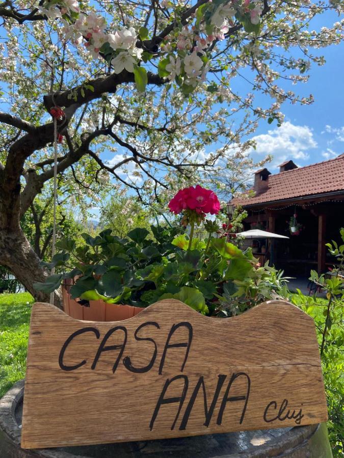 Appartamento Casa Ana Cluj Esterno foto