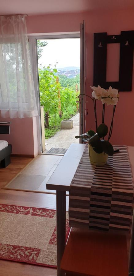 Appartamento Casa Ana Cluj Esterno foto